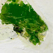 item #reviews-2008-02