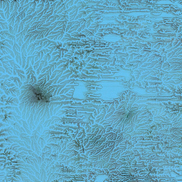 item #reviews-2013-01