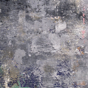 item #reviews-2013-02