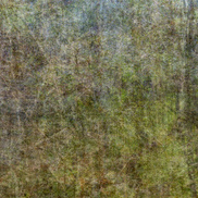 item #After_Goldberg_03