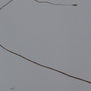 item #FOUND_SCULPTURES-04_3315