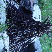 item #FOUND_SCULPTURES-12_2075