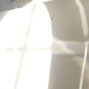 item #lichtbilder-41_8367