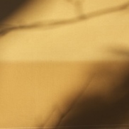 item #lichtbilder-48_3831