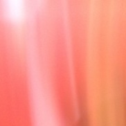 item #lichtbilder-50_8562