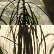 item #lichtbilder-55_8074