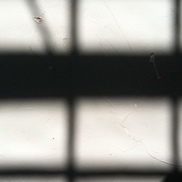 item #lichtbilder-57_5267