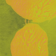 series 27