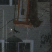 item #2011-02-22-0