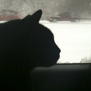 item #2011-02-27-1