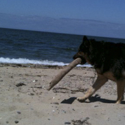 item #2011-07-01-2