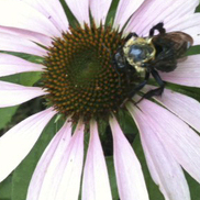item #2011-07-05-2