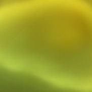 item #2016-11-30-0