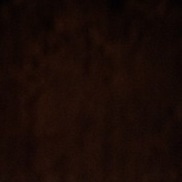 item #2017-11-19-0.JPG